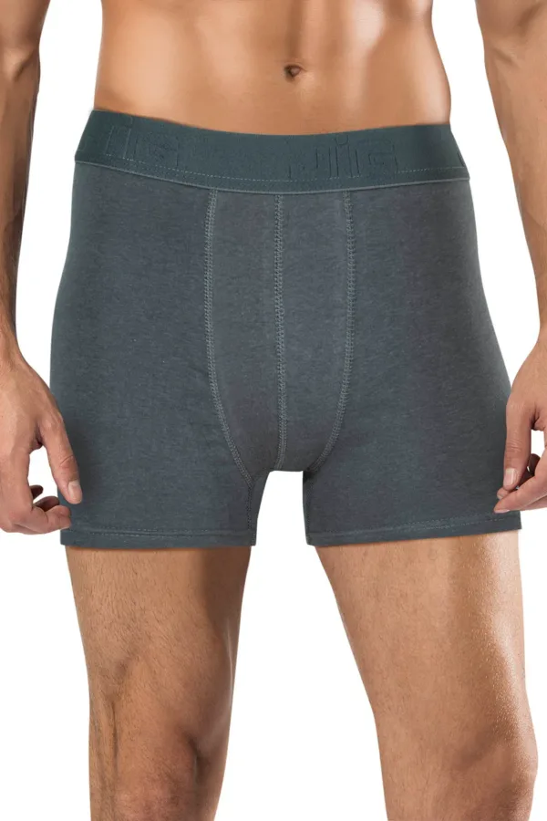 Pack de 3 boxer gris foncé pour homme – Image 2