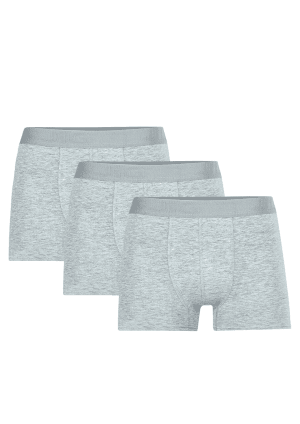Pack de 3 boxer gris clair pour homme