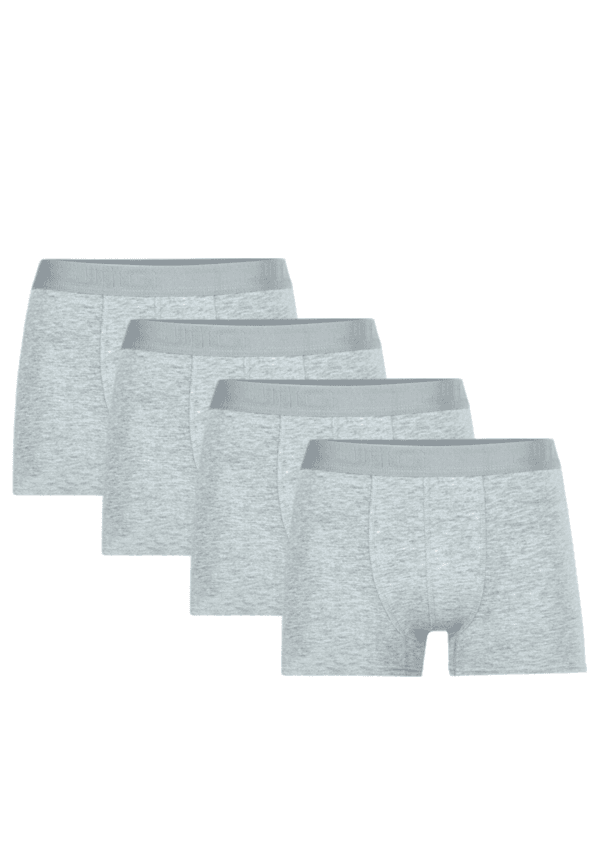 Pack de 4 boxer gris clair pour homme